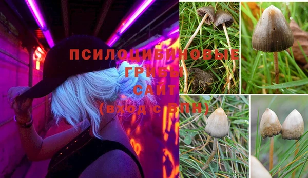 таблы Абаза