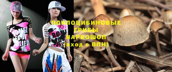 гидропоника Абдулино